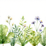 different flowers