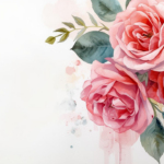 beautiful roses