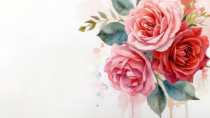 beautiful roses